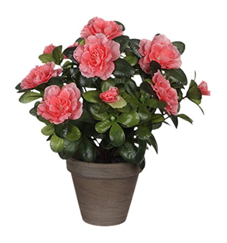 Mica decorations 950331 Blumen, Azalea, orange