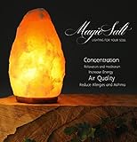 Solo MagiC Salt Lighting for you Soul y GAMECENTER son vendeores autorizados de este producto, y solo ellos te garantizan recibir la lampara original.