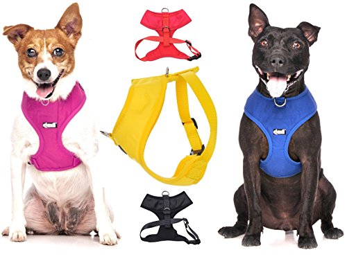 Dexil - Pettorina cappottino per cani impermeabile, imbottito, serie Elite, regolabile davanti e dietro, anello non-pull, taglie XS S M L