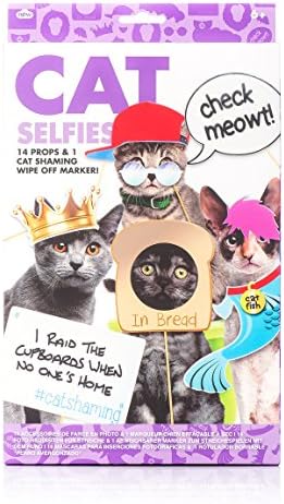 Celebration Nation NP21370 Cat Kit Selfie Photo Props, Paper