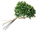 Produktbild ERRO Petersilie fein 6er Bund, Geschenkidee Lebensmittel Attrappe künstlich, Kunststoff, Plastik Parsley Büschel (6 Stück), Geschenk zur Wohnungseinweihung