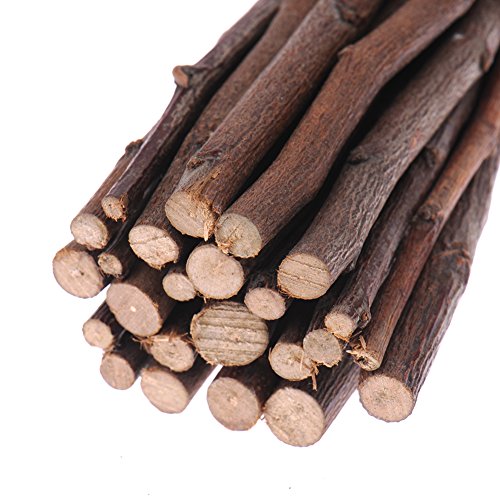 Eichhörnchen Tree Zweige, Holz Kauen Spielzeug für Hamster Ratten Mäuse Rennmäuse Kleine Tiere - 4