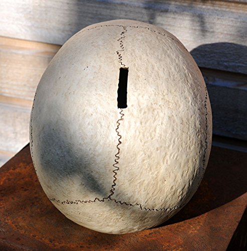 eindrucksvolle XXL Spardose Schädel Skull Totenkopf - 3