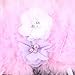 Koly Newborn Baby Angel Feather Wing Set Butterfly Wings Photo Prop Girls Hair Accessories