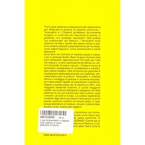 L'uso di tensioattivi e chelanti nella pulitura di opere policrome