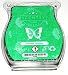 Produktbild Scentsy - Wax - Bar - Scent Melts "Summer Holiday" - Produktbeschreibung siehe unten
