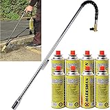 6 Ways To Remove Weeds And Moss From Paving Paving Directory