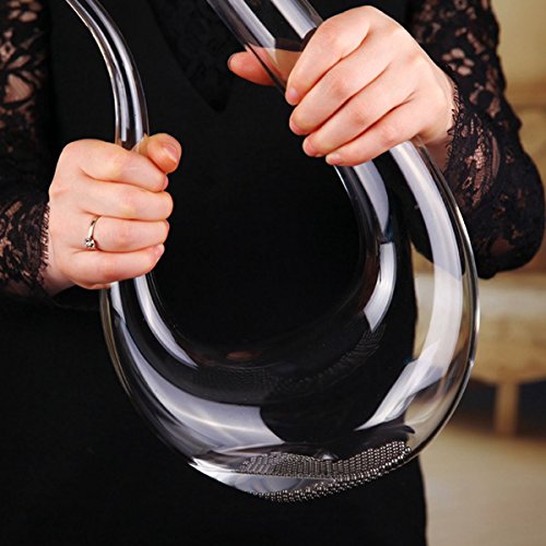 TIANOR Food Safe Reinigungsperlen Edelstahl für dekanter, vase, Karaffen, Flaschen – Reinigungskugeln Entfernt Rückstände & Grime Für Reinigung schwer zugänglichen Stellen Sie Angebote - 5