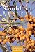 Produktbild Sanddorn-Rezepte (Minibibliothek)