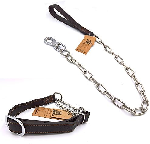 PetFun Thick Strong Leather Collar with Stainless Steel Quality Anti-Chewing Leather Dog Leash Set for Medium and Large Dogs
