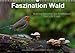 Faszination Wald. Waldimpressionen aus Nordhessen von Lutz Klapp (Wandkalender 2014 DIN A3 quer): Waldimpessionen aus Nordhessen. (Monatskalender, 14 Seiten) by 