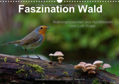Faszination Wald. Waldimpressionen aus Nordhessen von Lutz Klapp (Wandkalender 2014 DIN A3 quer): Waldimpessionen aus Nordhessen. (Monatskalender, 14 Seiten)