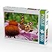 Produktbild Distelfalter auf Echinacea 1000 Teile Puzzle Quer