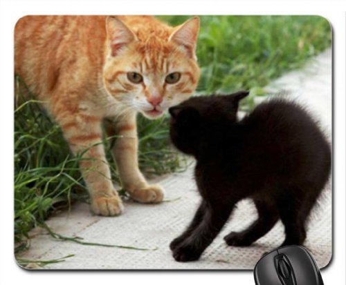 Preisvergleich Produktbild BGLKCS