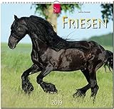 MF-Kalender FRIESEN 2019 by 