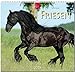 MF-Kalender FRIESEN 2019 by 