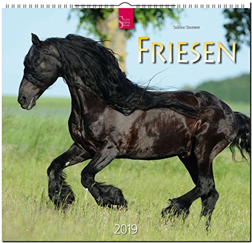MF-Kalender FRIESEN 2019