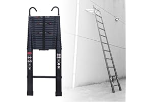 RIGOGO Extendable Ladder 20.3FT with 2 Hooks, Aluminum Ladder, Portable Space-Saving Extension Ladder, Multi-purpose for Home Office Loft, Capacity 330LB, EN131, Black