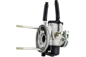 Vergaser Dellorto SHBC 19 19F 00905