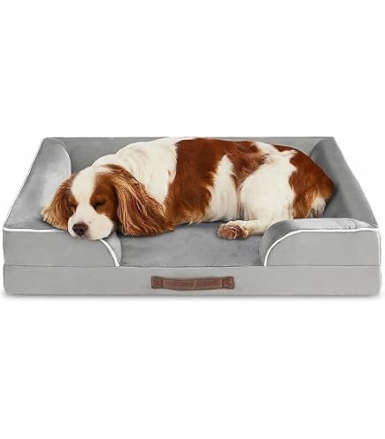 Sealy Lux Hundebett Groß – Mit Memory-Schaum & Kühlendem Gel, Orthopädisch, Waschbarer Bezug
