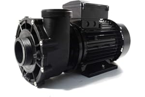 BRITANNIA HOT TUBS LX WP300-II 2 Speed Pump Hot Tub Spas Whirlpool Bath Waterway Replacement …
