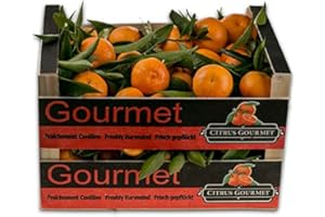 CITRUSGOURMET | Caja de Mandarinas Valencianas de Mesa | Mandarinas recien recolectadas | Fruta fresca mandarinas de valencia (12)