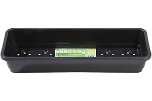 Seed Tray Garland Narrow Seed Trays Black 2 Tier Drainage Cells Strong Rim