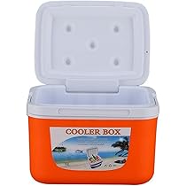 China 20l Cooler Icebox Cool Box Ice Storage Box For Medical Vaccine China Cooler And Cooler Box Price