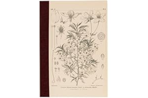 ほぼ日 Hobonichi Techo Accessories Hobonichi Graph Notebook (A6) - Yamazakura