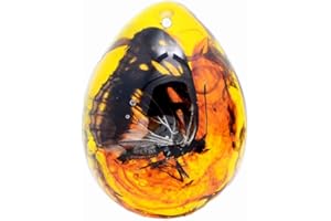 Funrelaxer Ambra fossile con insetti campioni di pietre campioni di cristallo Specimen insetto ciondolo ambra gioielli fai da te