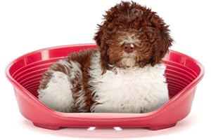 FERPLAST - Cuccia per cani e gatti - Cuccia per cani media - 100% plastica riciclata - Lettino per cani lavabile - traspirante e antiscivolo - Siesta Deluxe, 74 x 48 x h 25 CM, BORDEAUX