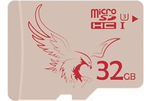 BRAVEEAGLE Micro SD Card 32GB Class 10 Memory Card for Dash Cam/Digital Cameras/Phone (32GB UHS-I 3)