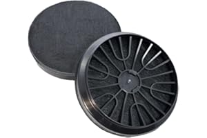 EVAYP / 2x Filtre à charbon actif / 00796390 796390 DHZ5276 LZ52751 Z5138X1 / Compatible avec hottes de cuisine Bosch Siemens Neff Viva, hottes aspirantes