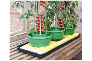 Garland Plant Halos Tomato Culture Pots - Pack of Three