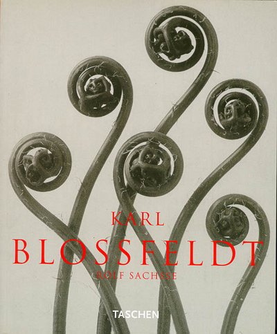 Karl Blossfeldt; Photographs 1865-1932