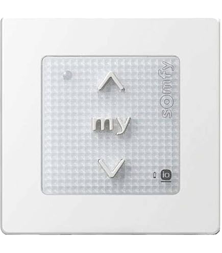 Somfy 1811045/1810880 - Smoove Origin RTS with a pure frame
