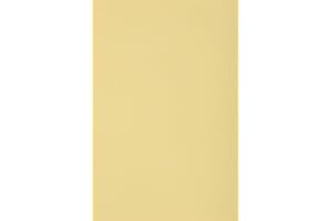 Netuno 20x carton crème 250g papier décoratif A4 210x297mm Burano Camoscio idéal pour cartes de voeux scrapbooking bricolage invitations art et artisanat anniversaire DIY loisirs créatifs