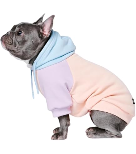 Spark Paws Premium Hundeleine Mit Kotbeutel – Extra Stabil Für Starke Hunde!