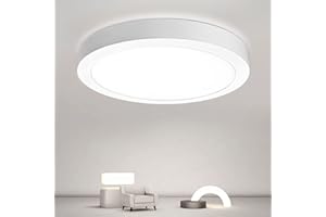 DINGLILIGHTING 12W Led Bathroom Ceiling Light, Aluminum 6000K Surface Mounted Led Ceiling Light Fittings for Kitchen, Living Room, Hallway. Flush Ceiling Lighting (AC110-265V)