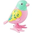 GRAPHENE Colorful Sparrow Key Operated Jumping Wind up Interactive Walking Educational Toys for Baby & Kids- Jumping, Moving Toy Rotating Head Key Non Battery Operated (Pack of 1)