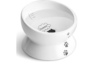 Y YHY Cat Bowls, 50 OZ Raised Cat Bowl, 15° Tilted Elevated Cat Bowl, Premium Ceramic Pet Dishes & Bowls, Cat Food & Water Bowls, Cat Feeding Bowls for Cats & Small Dogs, Dishwasher Safe
