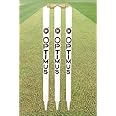 Optimus® Cricket Wooden Stumps Wickets Full Size (Eucalyptus Heavy Wood) Set of 3 with 2 Bails - Cream