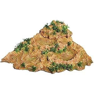 repstyle Schildkröte Insel Fels mit Pflanzen,