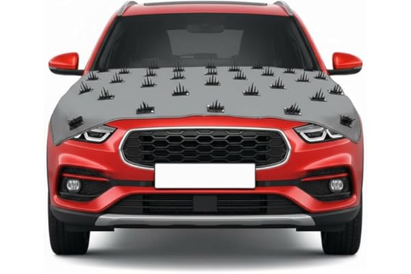 NETYLON Car Bonnet Spike Cover 60x44 Inch Scratch & Animal Protection Guard for Dogs, Cats & Monkeys UV, Dust & Water Resistant Universal Fit Bonnet Protector for Hatchback, Sedan & SUV