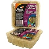 Dawn Chorus Energieblöcke für Vögel, mit Beeren, 12Stück