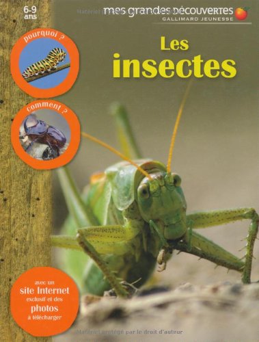 couverture de : Les insectes