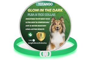 YOTANGO Colliers Anti-Puces pour Chiens, Collier Anti Puces Chien Imperméable, Réglable Lumineux Collier Anti Puces pour Chien 8 Mois de Protection Naturelle Anti Tique pour Chiots et Grands Chiens-Vert