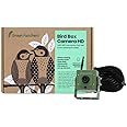 Green Feathers WiFi Birdbox Camera, 1080p HD Smart Camera with Recording and Night Vision, Garden Wildlife Camera for Bird Watching, Wildlife Viewing on Phone - 10m Kit