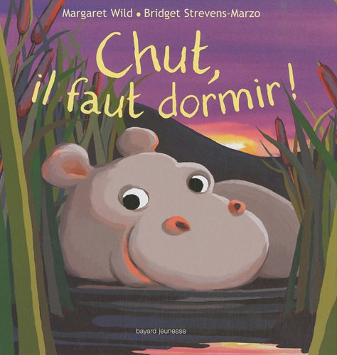 couverture de : Chut, il faut dormir !