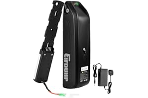 EIFDUHP 48V Ebike Battery 13AH, Electric Bike Battery Pack Lithium-ion with Charger Baseplate for 750W 500W 350W 250W 200W Bicycle Motor